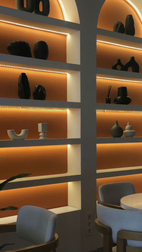 sanc shelf interior
